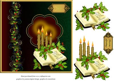 Bible and Holly