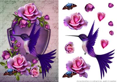 Humming Bird Card Front