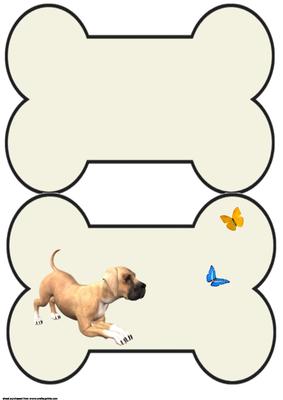 Chasing Butterflies
