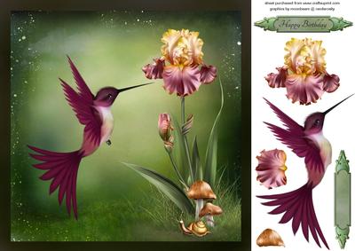 Humming Bird and Iris