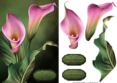 Callas Lilies Card Front