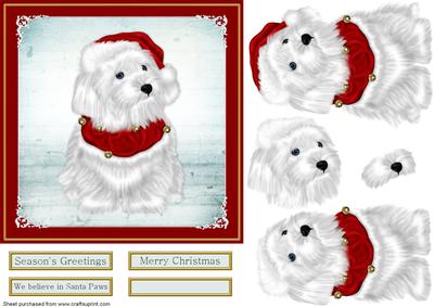Believe in Santa Paws