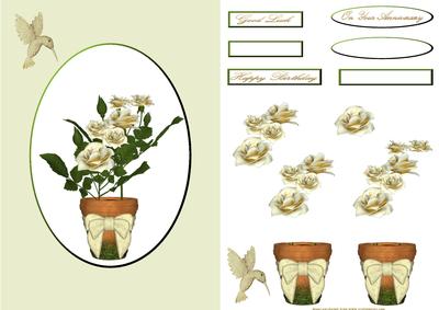 Potted Plants