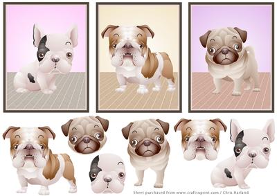 Cute Dogs 1