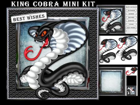 King Cobra Mini Kit