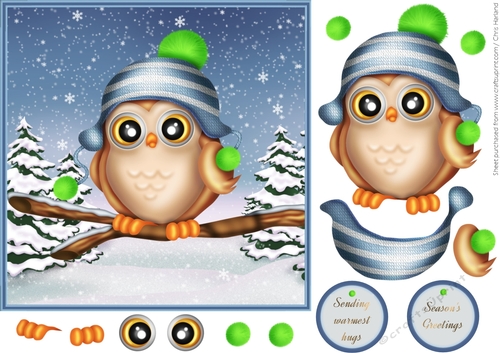 Winter Owl Warm Hugs