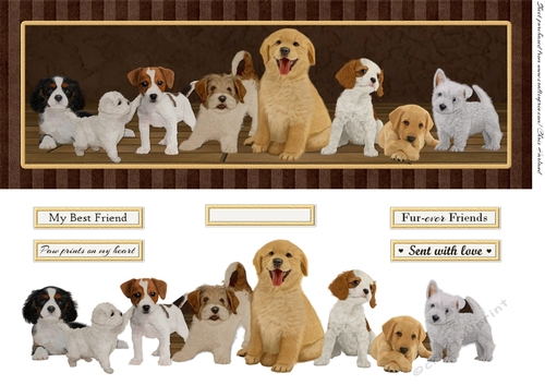 Fur-ever Friends Large DL Card