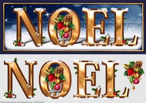 Noel Large DL Card Front