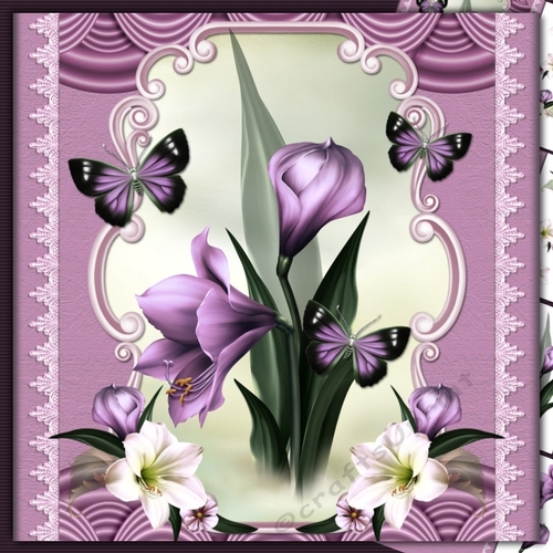 Lilac orchid and butterflies