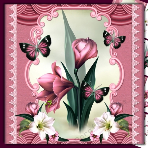 Pink orchids and butterflies