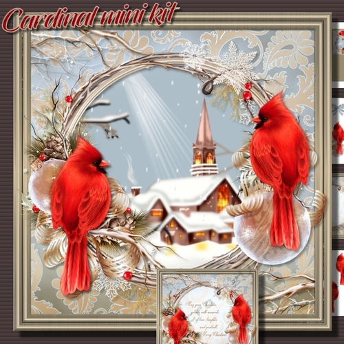 Cardinals mini kit