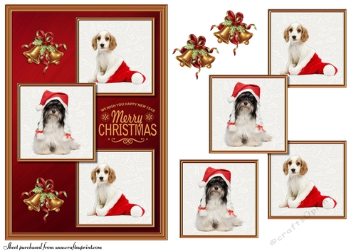 Christmas Animal 3 squared card front