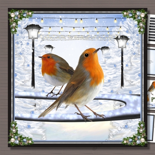Robins at Christmas