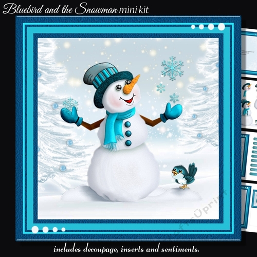 Bluebird and the Snowman