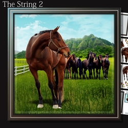 The String 2 mini kit