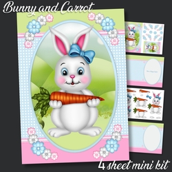 Bunny and Carrot mini kit