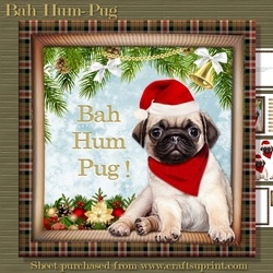 Bah Hum-Pug