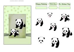 Mother and Cub Step by Step