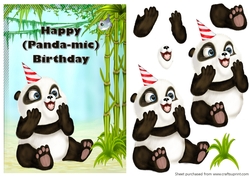 Panda-mic Birthday