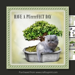 PUrrrFECT DAY