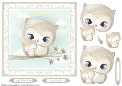 Owls topper