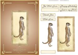 Meercat Quick Card