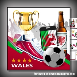 Wales Football mini kit