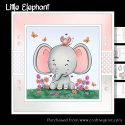 Little Elephant