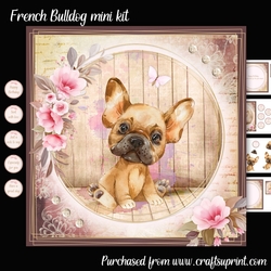 French Bulldog mini kit