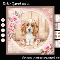 Cocker Spaniel mini kit