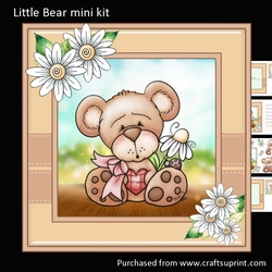 Little Bear mini kit