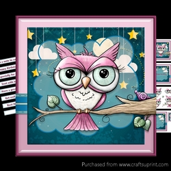 Night Owl