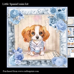 Little Spaniel mini kit