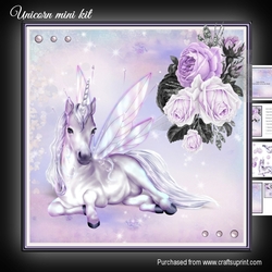 Unicorn mini kit