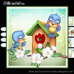 A liitle bird told me