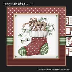 Puppy in a stocking