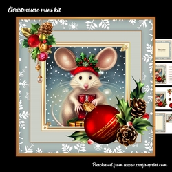 Christmouse mini kit