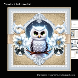 Winter Owl mini kit