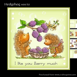 Hedgehog mini kit