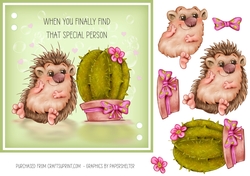 Hedgehog romance