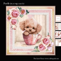 Poodle in a cup