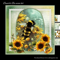 Bumble Bee Mini kit