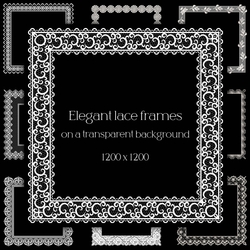 Elegant lace frames