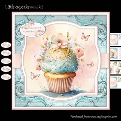 Little Cupcake mini kit