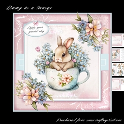 Bunny in a teacup