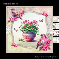Songbird mini kit