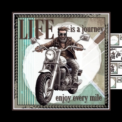 Enjoy the ride