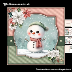Litt;e Snowman mini kit