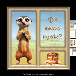 Meerkat mini kit