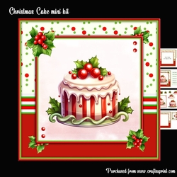 Christmas Cake mini kit